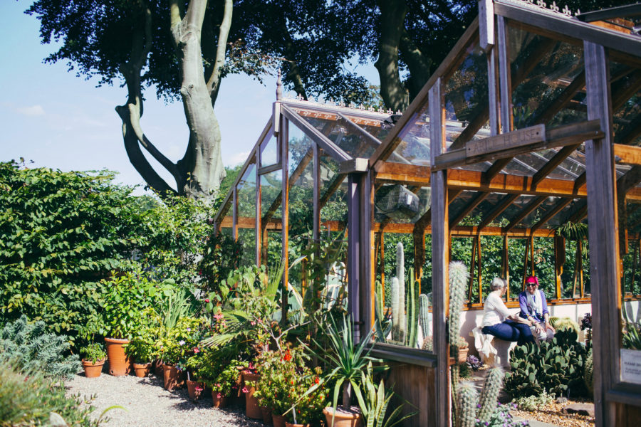 Sitting in the glasshouse at Wiinterbourne House and Garden.