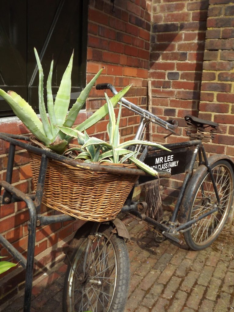 Container display, Winterbourne House and Garden, Digging for Dirt