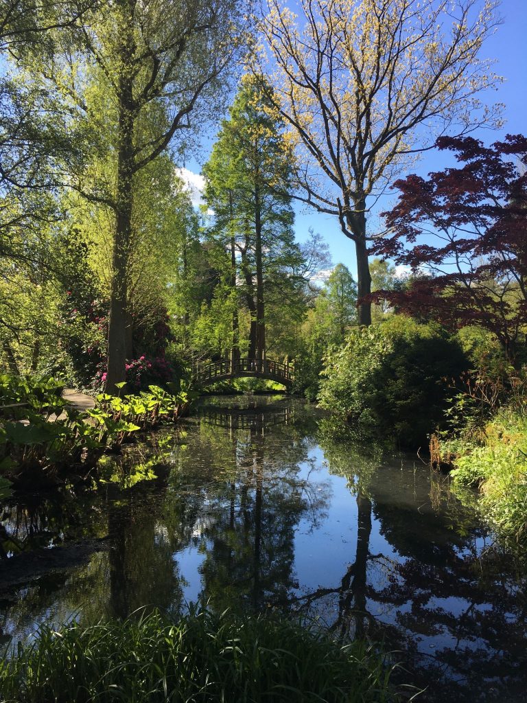 Japanese Bridge, photograph by Omar Mian, Winterbourne House and Garden, Digging for Dirt