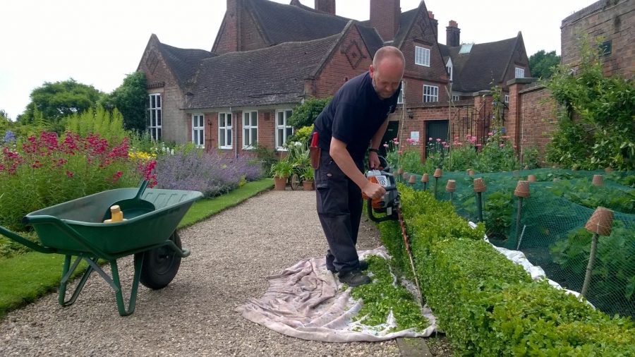 Cutting box hedging, Winterbourne House and Garden, Digging for Dirt