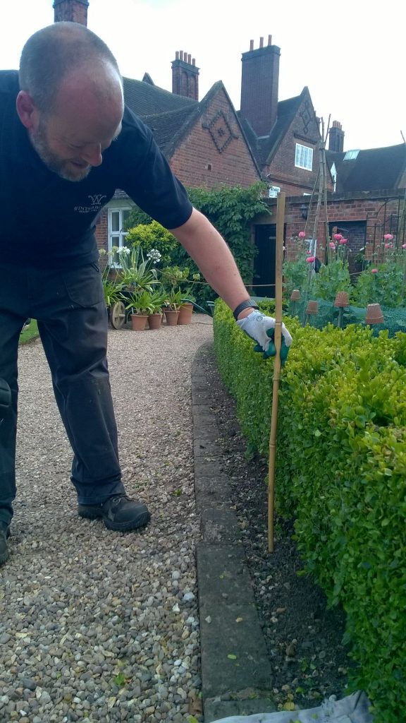 Cutting box hedging, Winterbourne House and Garden, Digging for Dirt