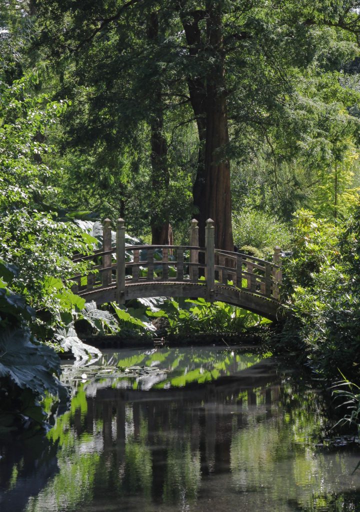 The Japanese Bridge, photograph by Alice Whitehouse, Digging for Dirt, Winterbourne House and Garden