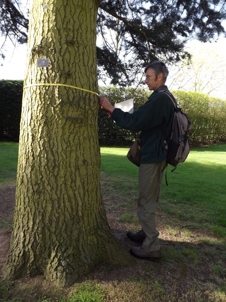 Owen Johnson, Now and Then: December, Winterbourne House and Garden, Digging for Dirt