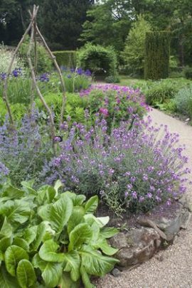 The Pink and Blue Border, photograph by Jenny Lilly, Winterbourne House and Garden, Digging for Dirt