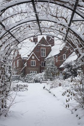 The Nut-Walk in snow, December 2010, photograph by Jenny Lilly, Winterbourne House and Garden, Digging for Dirt