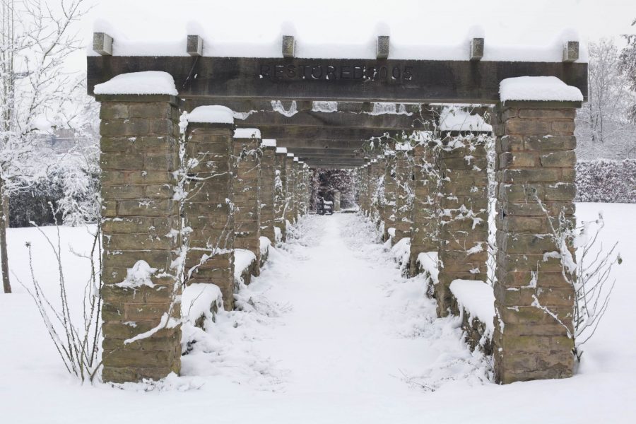 Pergola in snow, December 2010, photograph by Jenny Lilly, Winterbourne House and Garden, Digging for Dirt