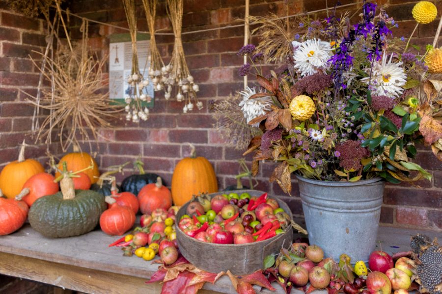 Autumn harvest in the Old Kitchen Courtyard, photograph by Maggie Bucknall, The Week That Was, Winterbourne House and Garden, Digging for Dirt