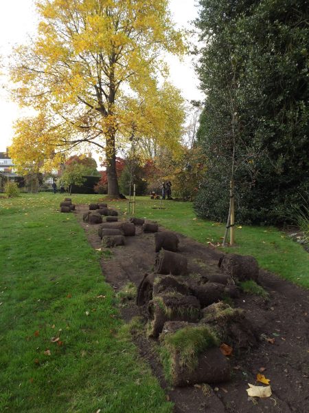 Turf-lifting underway on the Arboretum Lawn, The Week That Was, Winterbourne House and Garden, Digging for Dirt