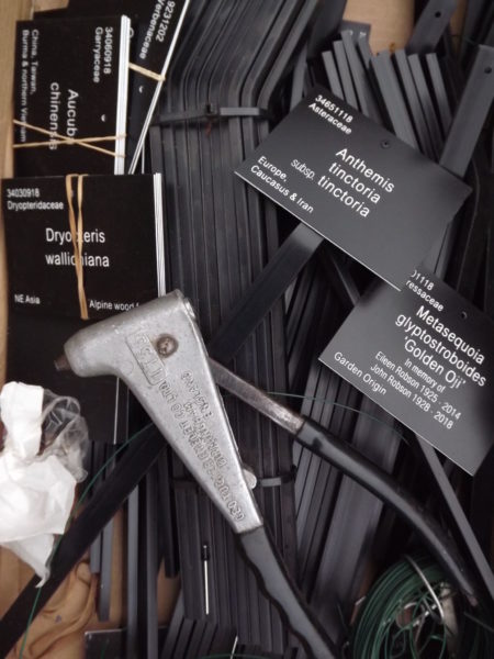 Labelling plants in the garden, The Week That Was, Winterbourne House and Garden, Digging for Dirt