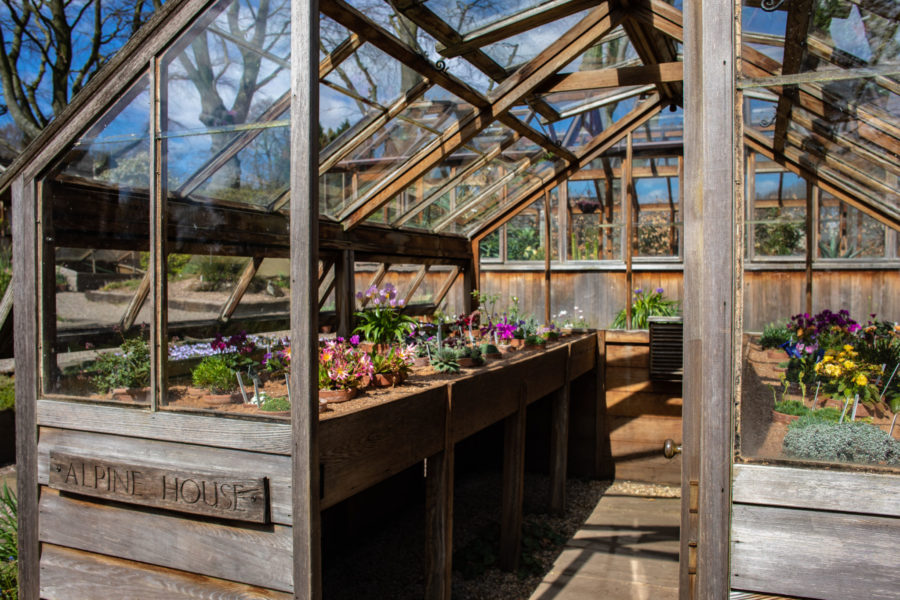 The Alpine House, photograph by Maggie Bucknall, The Week That Was, Digging for Dirt, Winterbourne House and Garden