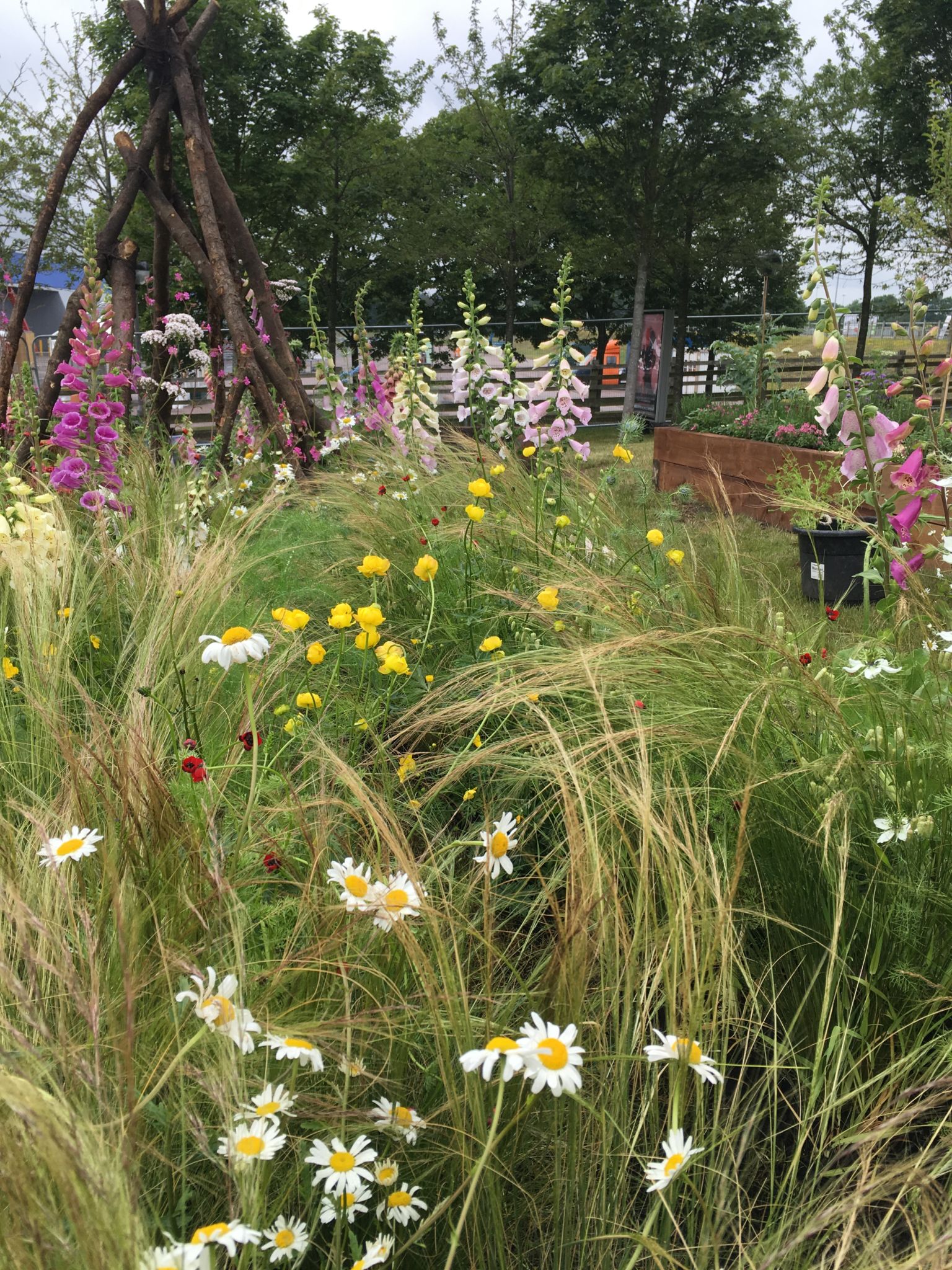 'The Wild Side' by Charlotte Allen, Snapshot, Digging for Dirt, Winterbourne House and Garden