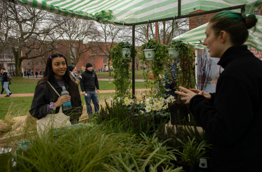 Farmers Market, Photograph by Maggie Bucknall, What's Happening Here?, Digging for Dirt, Winterbourne House and Garden