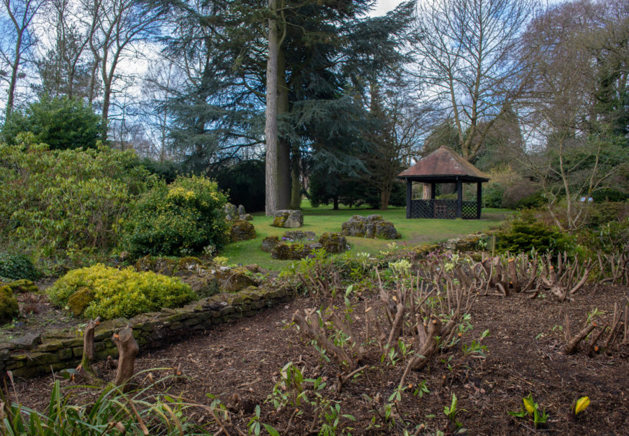 The Japanese Tea House now visible from the Japanese Bridge, Photograph by Maggie Bucknall, What's Happening Here?, Digging for Dirt, Winterbourne House and Garden