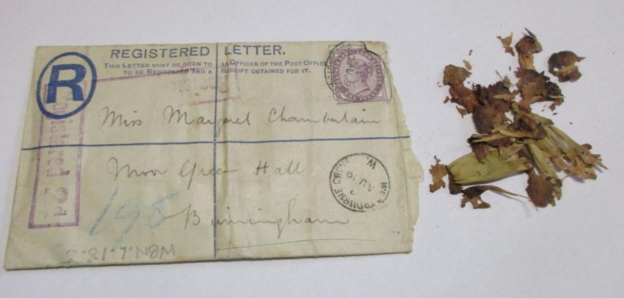 Envelope with pressed flowers, February 1891