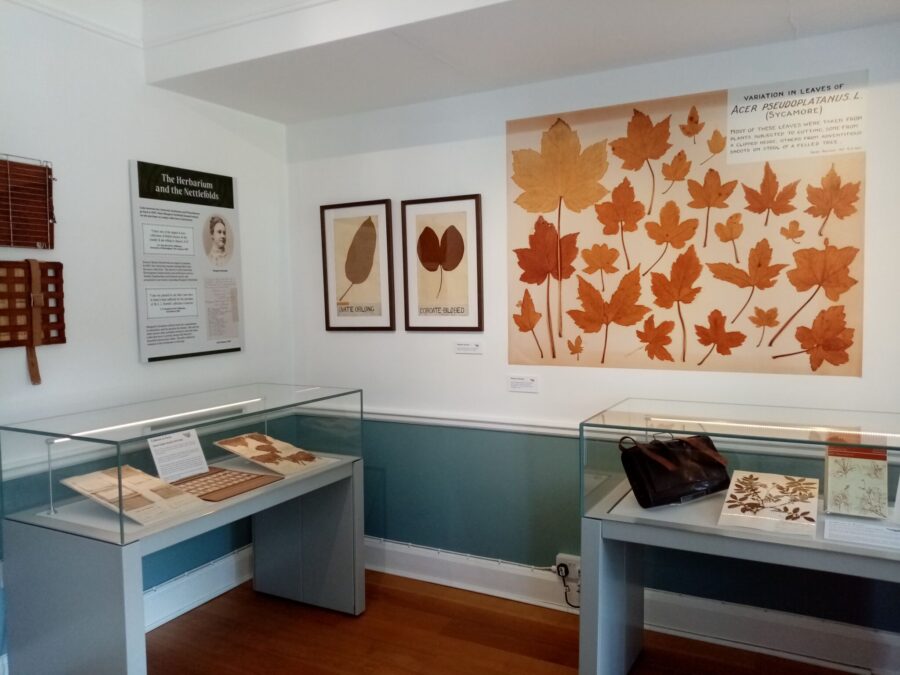 Herbarium exhibition