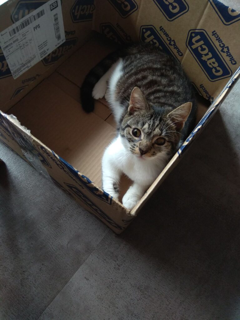Image of Pippa
