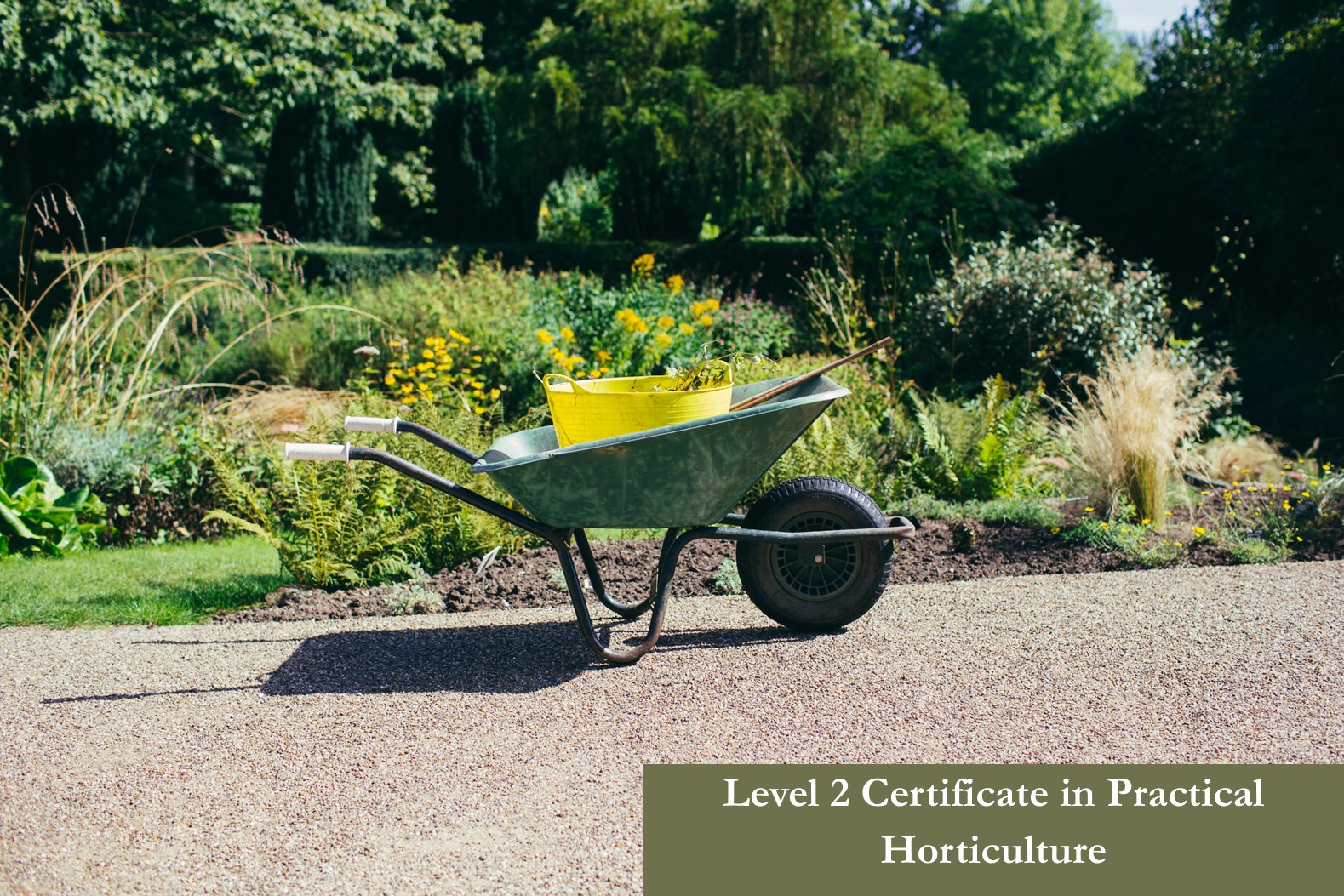 20252026 RHS Level 2 Practical Course Winterbourne House and Garden