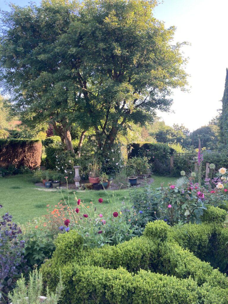Alice's Home Garden