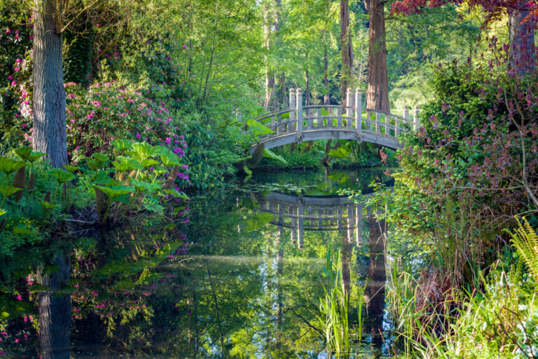 Japanese Bridge at Winterbourne