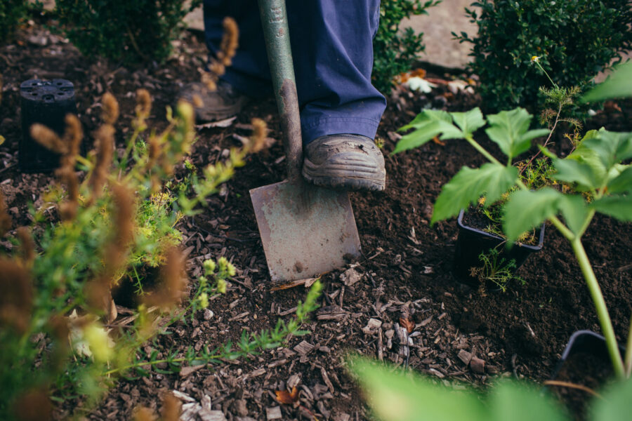 A Gardener digging soil with a spade.