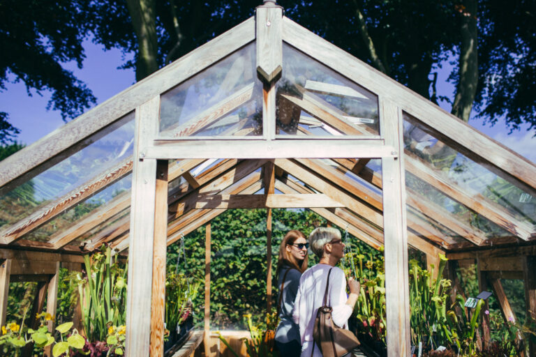 Two people in a glasshouse in the sunshine
