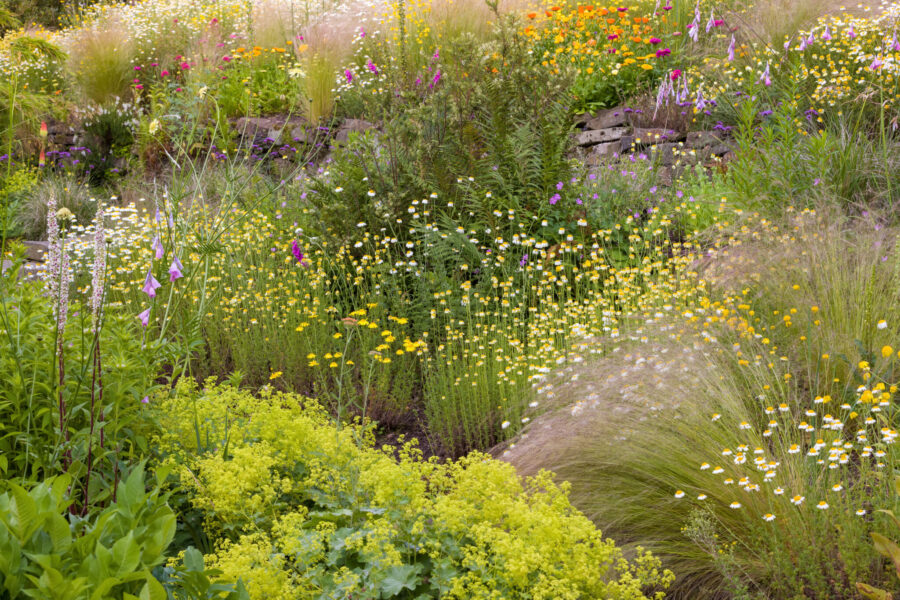 The Winterbourne Garden
