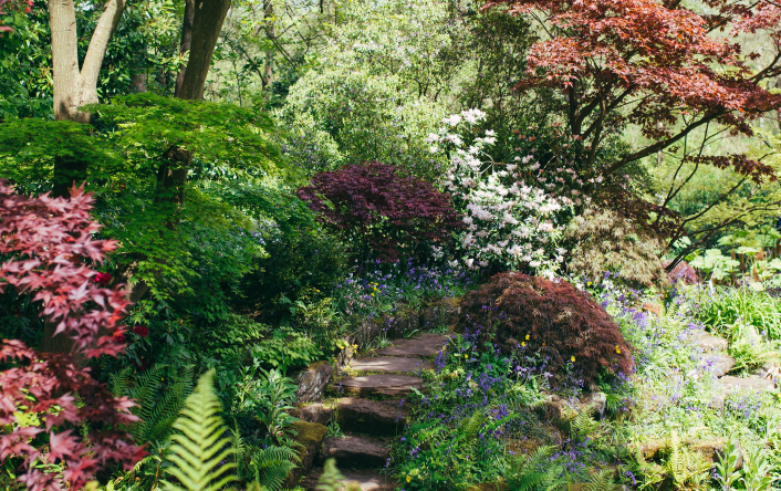 Sandstone rock garden