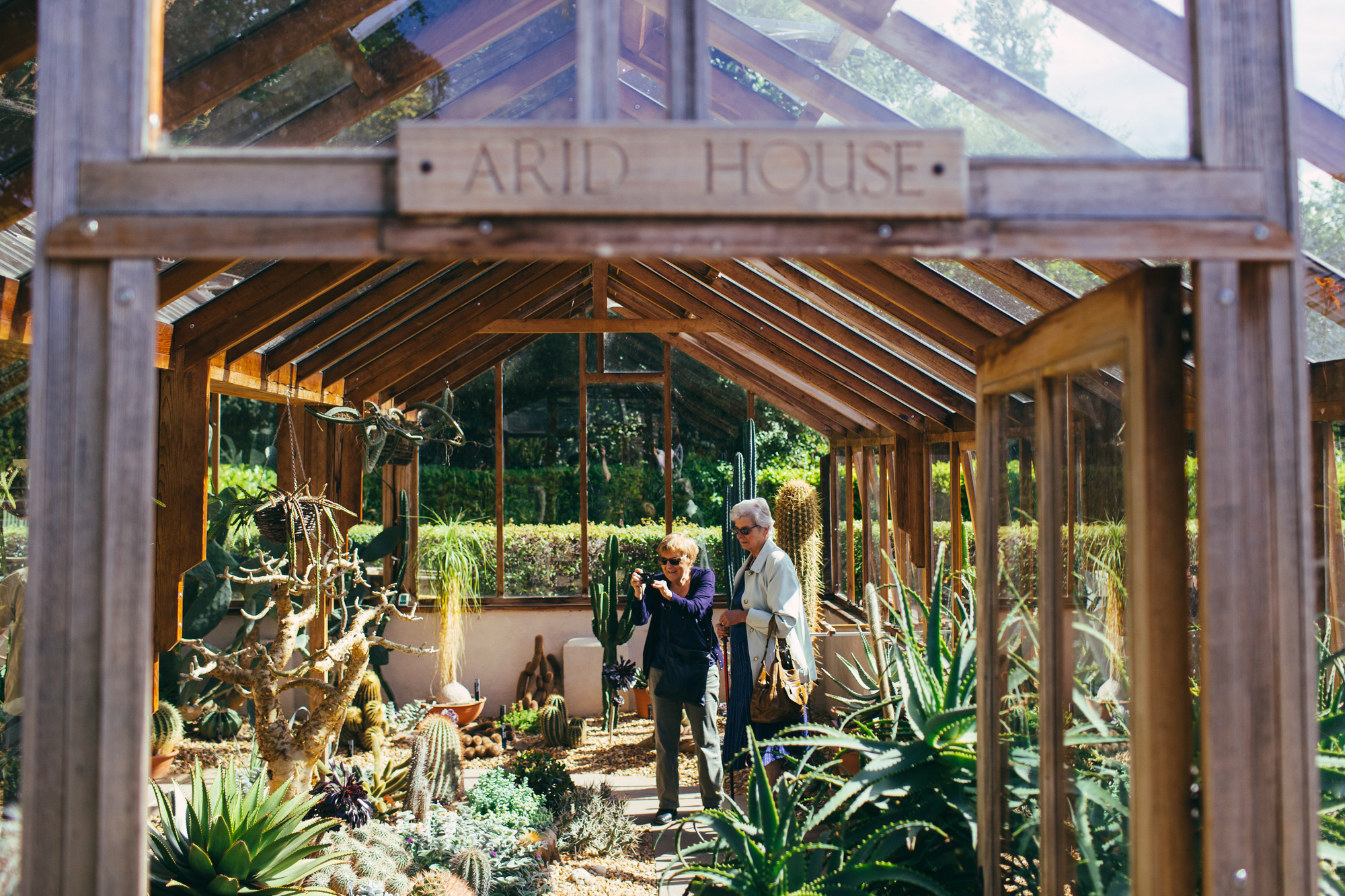 Visitors in the beautiful arid glasshouse