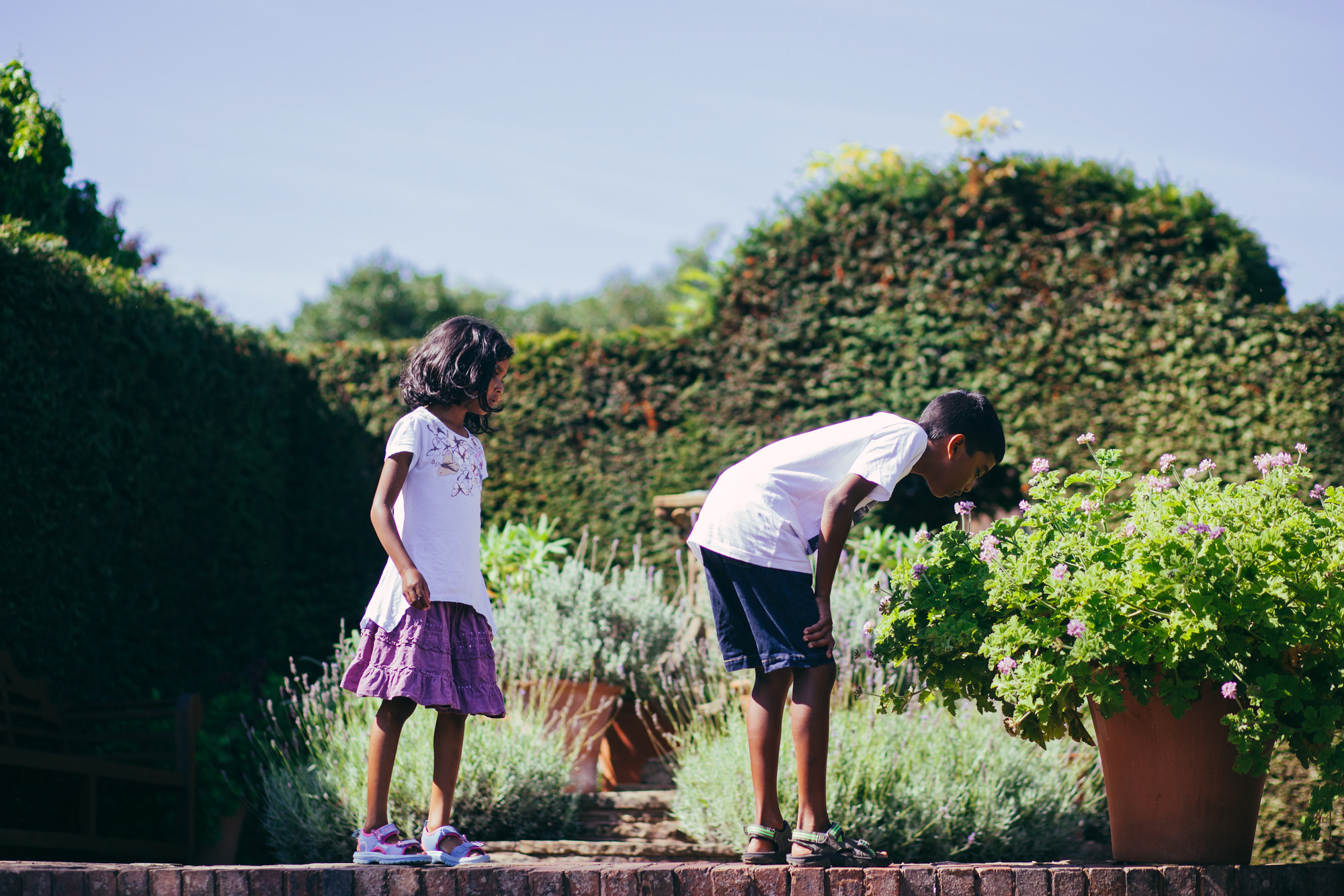 Children smelling flowers in the botanical garden at Winterbourne House
