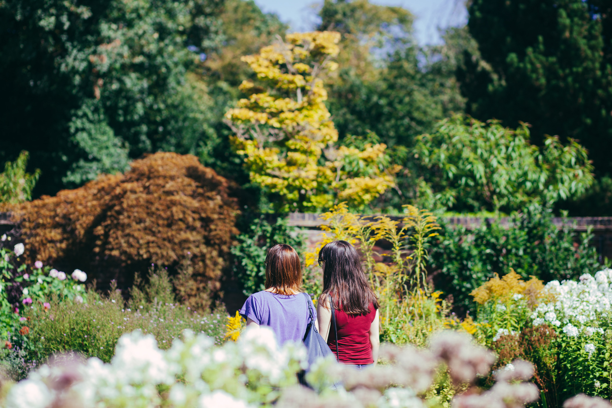 Visitors in The Botanic Garden