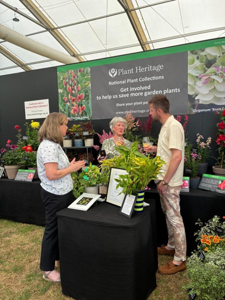 Linda was presented with the Brickell Award 2025 by Matthew Pottage at Plant Heritage’s stand in the Floral Marquee. Linda Eggins, National Plant Collection Holder of Aucuba japonica and winner of Plant Heritage’s Brickell Award 2025. Credit Linda Eggins.